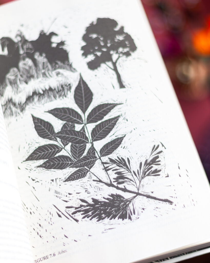 Flora of Middle-earth