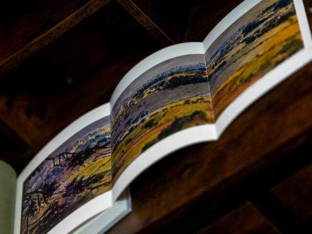 The Bovadium Fragments